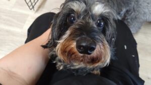 朝のお時間　2025/7/26