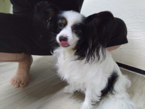 夜のお時間　2025/7/26