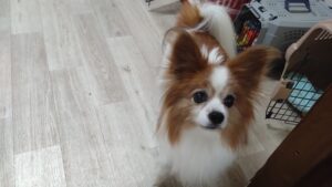 夜のお時間　2025/7/27