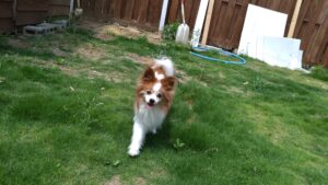 午前のお時間　2025/7/28