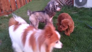 夜のお時間　2025/7/28