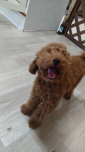 午前のお時間 2025/7/29