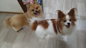 夜のお時間　2025/7/29