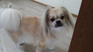 朝のお時間　2025/7/30