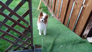 夜のお時間　2025/7/30