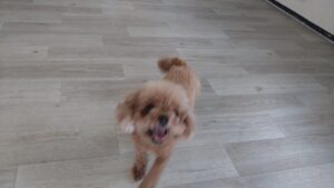 午前のお時間　2025/7/31