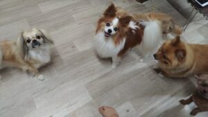 夜のお時間　2025/7/31