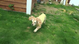 朝のお時間　2025/7/1