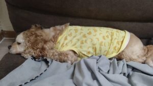 夜のお時間　2025/7/1