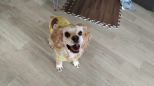 朝のお時間　2025/7/2