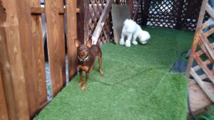 夜のお時間　2025/7/2