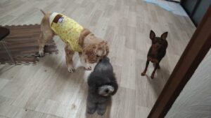 夜のお時間　2025/7/3