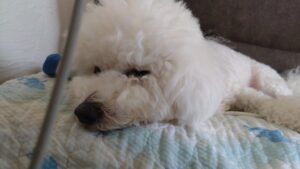 朝のお時間　2025/7/4