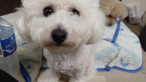 夜のお時間　2025/7/4