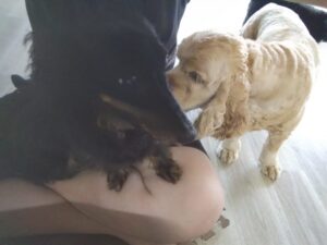 朝のお時間　2025/7/5