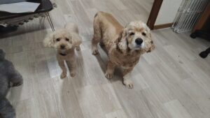 夜のお時間　2025/7/5