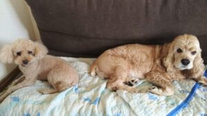 朝のお時間　2025/7/6