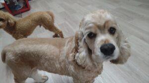 夜のお時間　2025/7/6