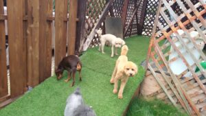 朝のお時間　2025/7/7