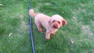 夜のお時間　2025/7/9