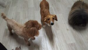 夜のお時間 2025/7/10