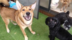 午前のお時間　2025/7/11