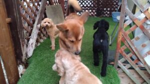 夜のお時間　2025/7/11