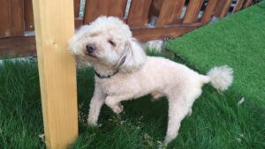 夜のお時間　2025/7/7