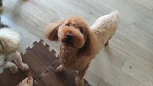 午前のお時間　2025/7/8