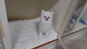 夜のお時間  2025/7/8