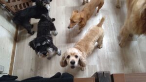 午前のお時間　2025/7/9