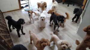 午前のお時間　2025/7/10