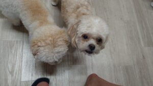 午前のお時間　2025/8/19