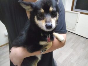 夜のお時間　2025/8/19