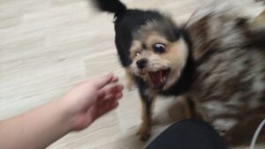 夜のお時間　2025/8/20