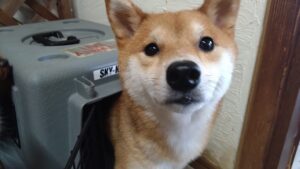 午前のお時間　2025/8/21