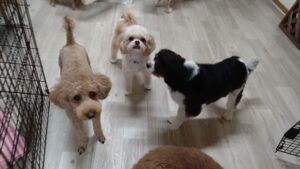 夜のお時間　2025/8/21