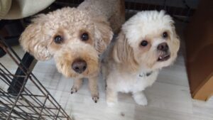 午前のお時間　2025/8/22