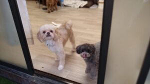 夜のお時間　2025/8/22