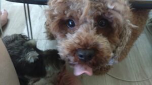 午前のお時間　2025/8/23