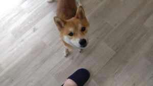 午前のお時間　2025/8/24