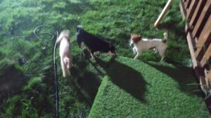 夜のお時間　2025/8/24