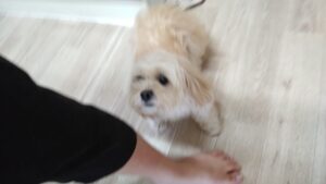 午前のお時間　2025/8/25