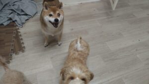 夜のお時間　2025/8/25