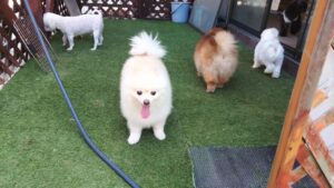 午前のお時間　2025/8/26