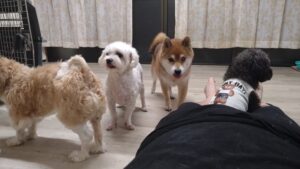 夜のお時間　2025/8/26