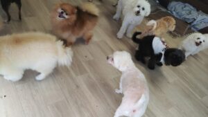 午前のお時間　2025/8/27