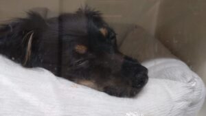 夜のお時間　2025/8/27