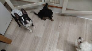 午前のお時間　2025/8/28