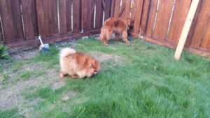 夜のお時間　2025/8/28